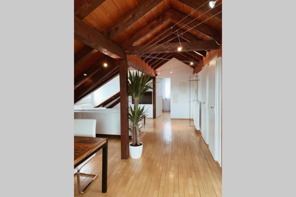 *Dreilaendereck* Wifi+ Balkon+Garage Basel Mulhouse Apartment Maulburg Luaran gambar