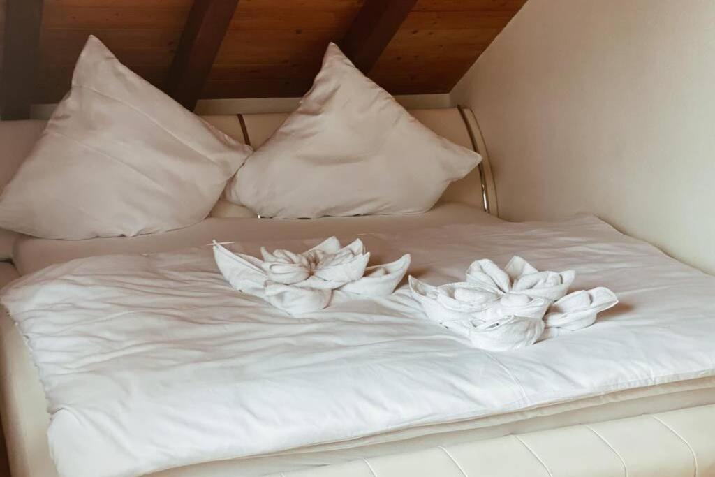 *Dreilaendereck* Wifi+ Balkon+Garage Basel Mulhouse Apartment Maulburg Luaran gambar