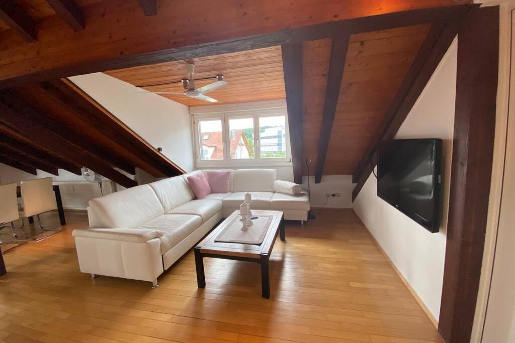 *Dreilaendereck* Wifi+ Balkon+Garage Basel Mulhouse Apartment Maulburg Luaran gambar